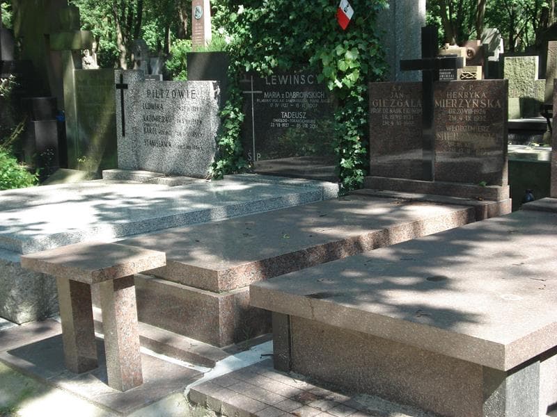 Zdjęcie grobu Włodzimierz Mierzyński (1)