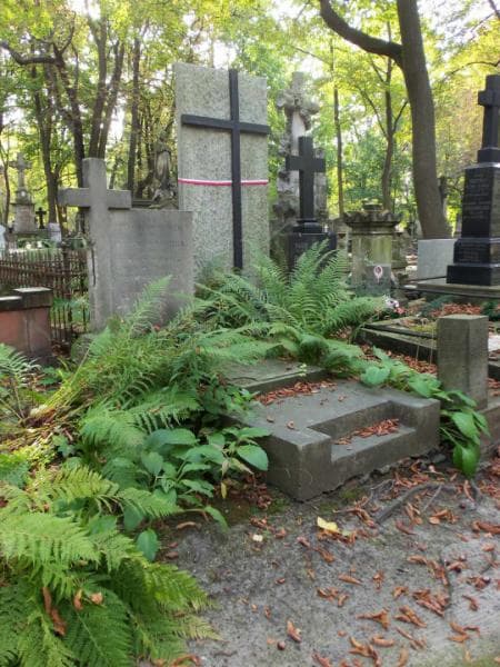 Zdjęcie grobu Ignacy Nowicki (1)