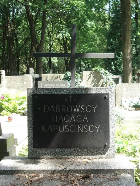 Zdjęcie grobu Dąbrowscy (1)