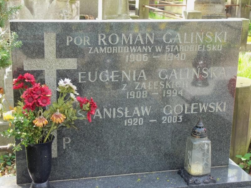 Zdjęcie grobu Julia Hołyńska (2)