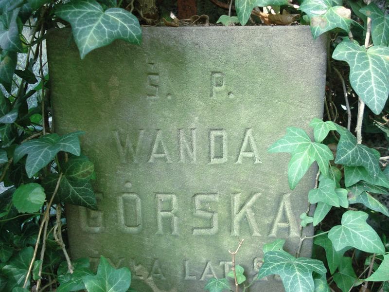 Zdjęcie grobu Wanda Górska (2)