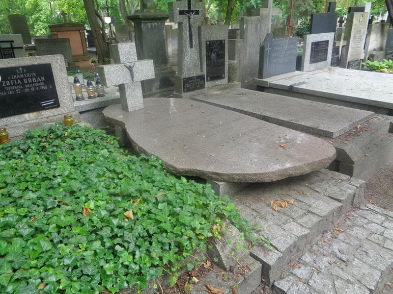 Zdjęcie grobu: Bolesław Januszaniec