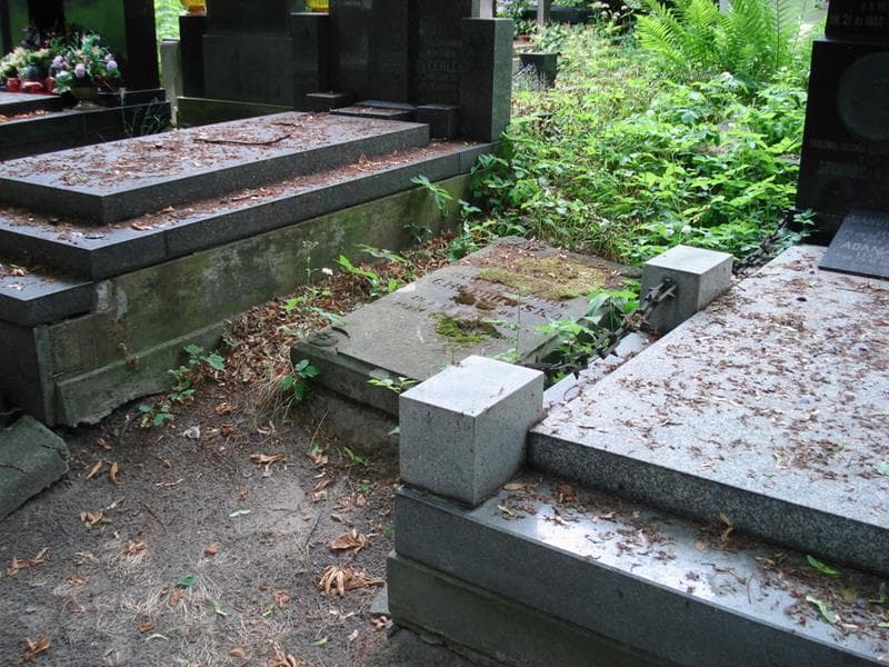 Zdjęcie grobu: Cecylja Chłedowska