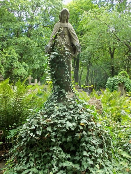 Zdjęcie grobu Władysława Wołowska (2)
