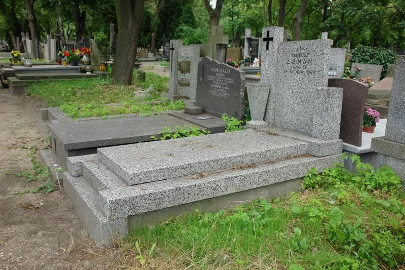 Zdjęcie grobu: Tadeusz Leman