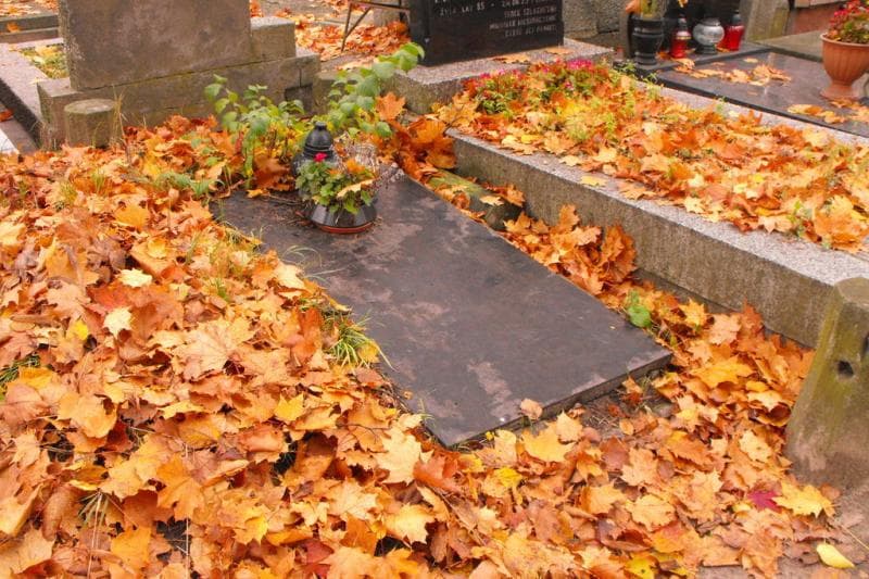 Zdjęcie grobu Janina Gutkowska (1)