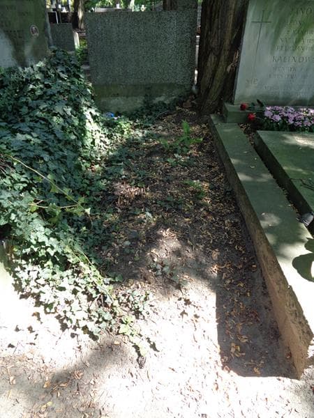 Zdjęcie grobu: Pole Grobowe