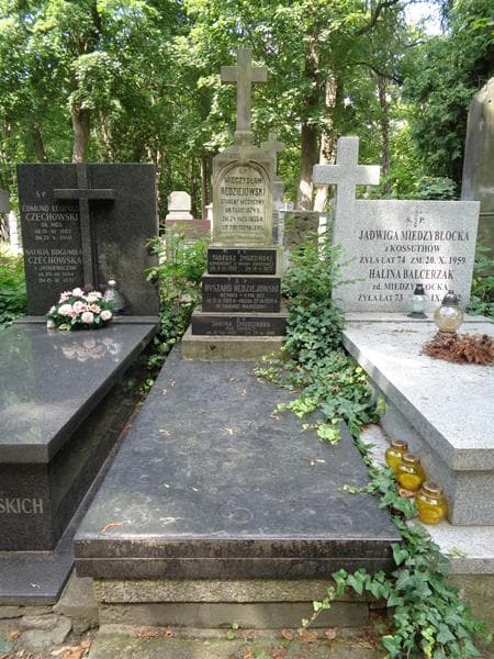 Zdjęcie grobu Janina Żmudzińska (1)