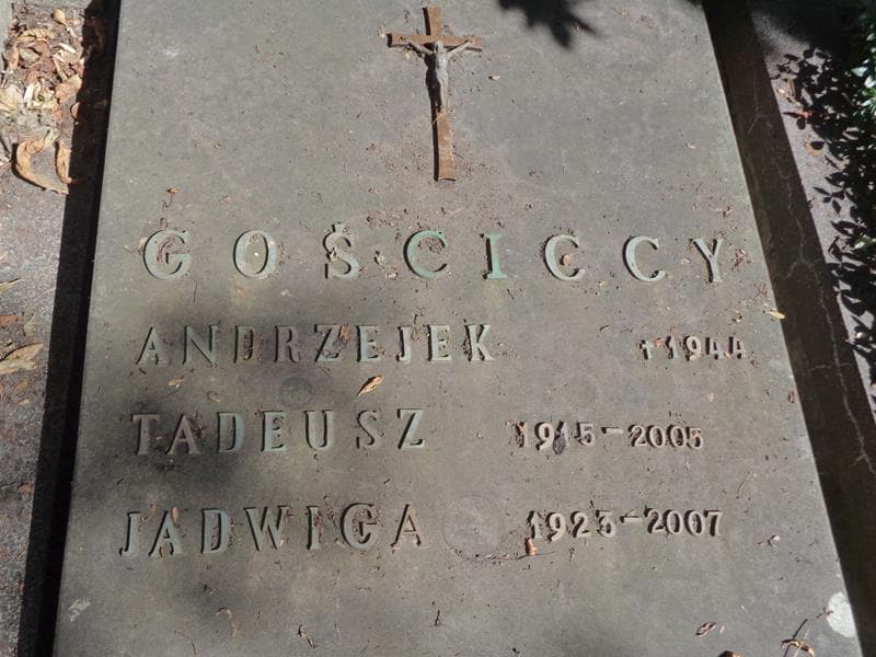 Zdjęcie grobu Tadeusz Gościcki (2)