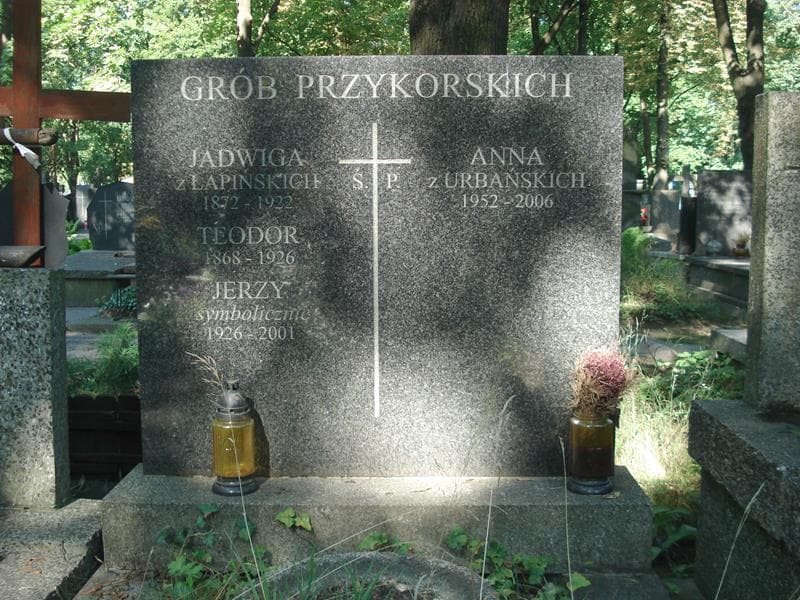 Zdjęcie grobu Teodor Przykorski (1)