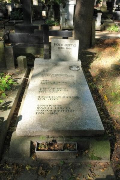Zdjęcie grobu: Bronisław Nowicki