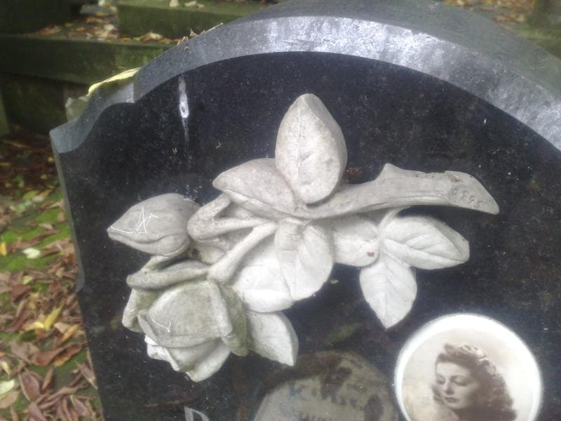 Zdjęcie grobu Józefa Domaniewska (2)