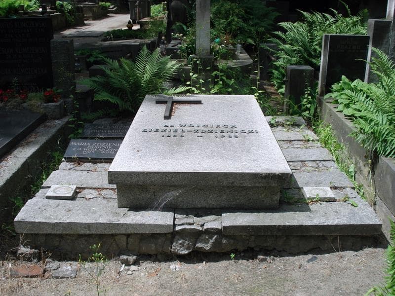Zdjęcie grobu Wojciech Siekiel-Zdzienicki (1)