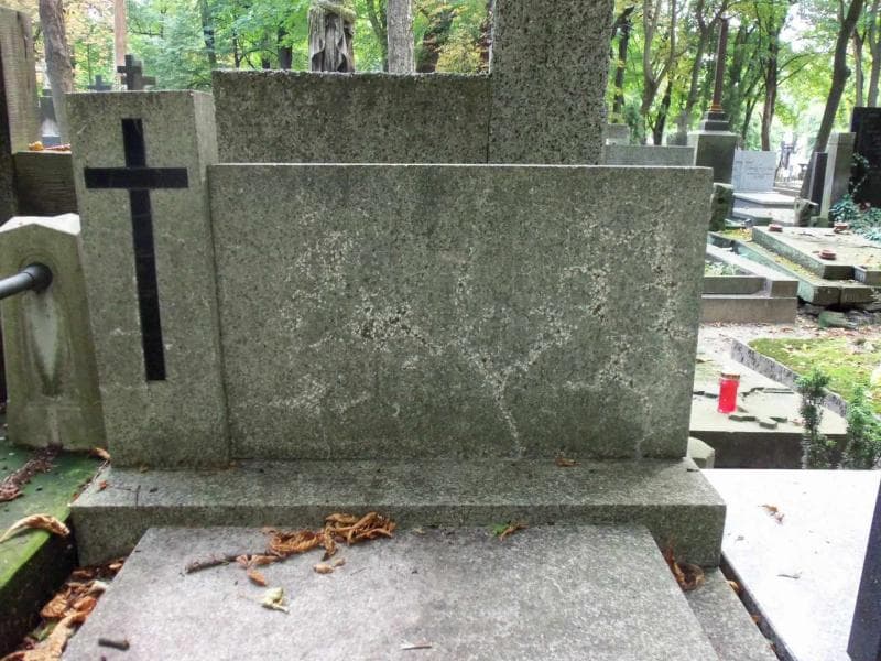 Zdjęcie grobu Cecylia Lipczyńska (1)
