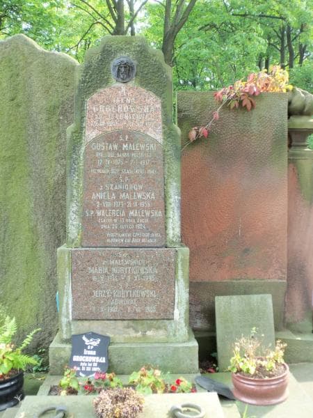 Zdjęcie grobu Gustaw Malewski (2)