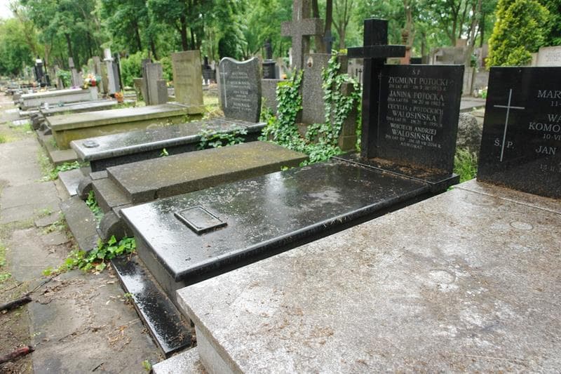 Zdjęcie grobu: Cecylia Walosińska