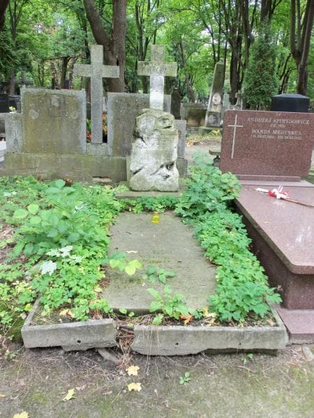 Zdjęcie grobu: Feliks Michalski