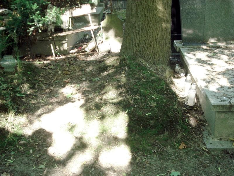 Zdjęcie grobu: Pole Grobowe