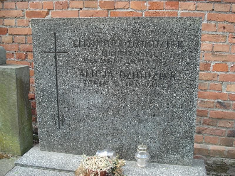Zdjęcie grobu Eleonora Dziudziek (1)