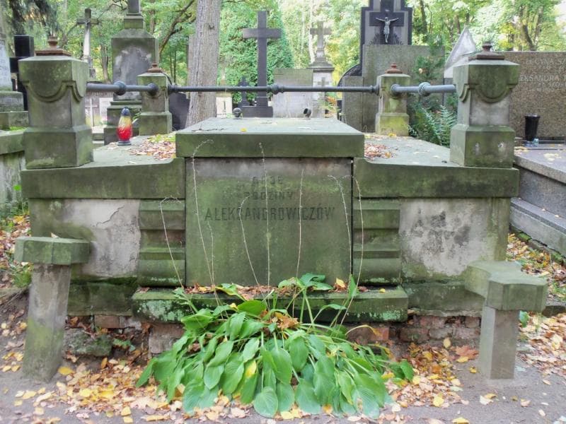 Zdjęcie grobu: Aleksandrowiczowie