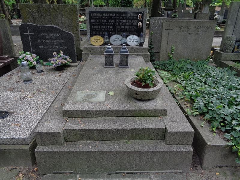 Zdjęcie grobu Antonina Krajewska (1)