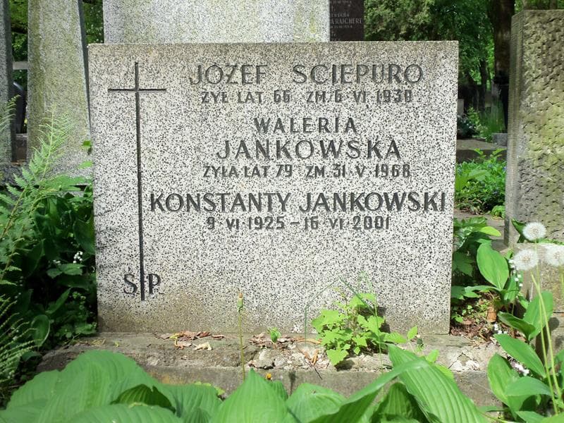 Zdjęcie grobu Konstanty Jankowski (2)