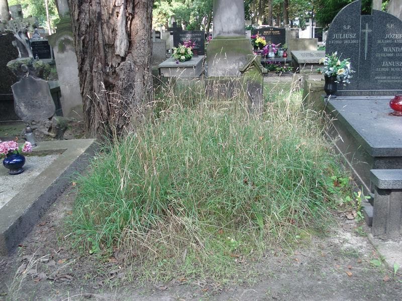 Zdjęcie grobu: Ludwik Martyni