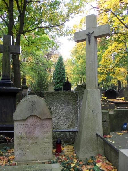 Zdjęcie grobu Janina Dolewska (2)