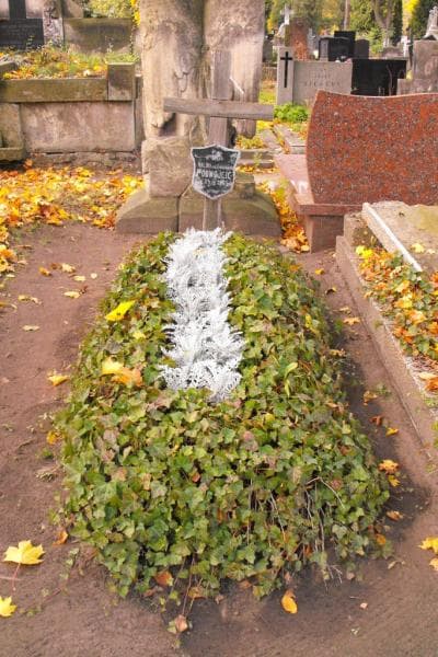 Zdjęcie grobu: Halina Podwojcic