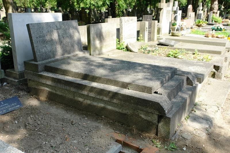 Zdjęcie grobu: Janina Żmijdowa