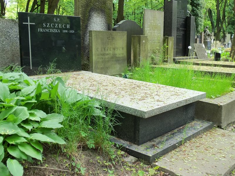 Zdjęcie grobu Franciszka Szczech (1)