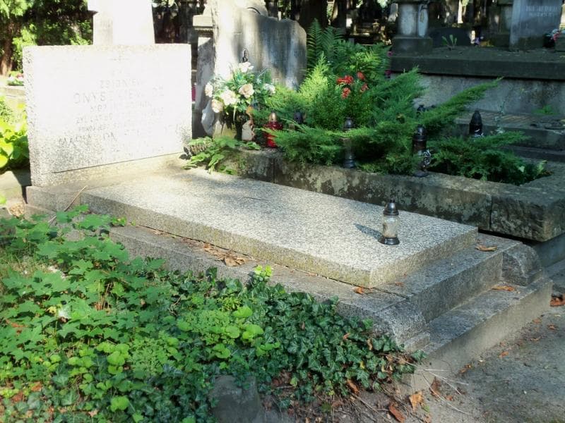 Zdjęcie grobu Zbigniew Onyszkiewicz (1)