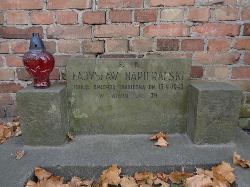 Zdjęcie grobu Ładysław Napieralski (2)
