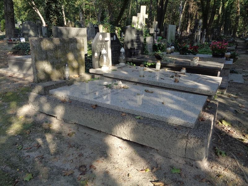 Zdjęcie grobu: Henryk Rudziński