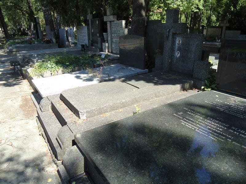 Zdjęcie grobu Michał Lis (1)