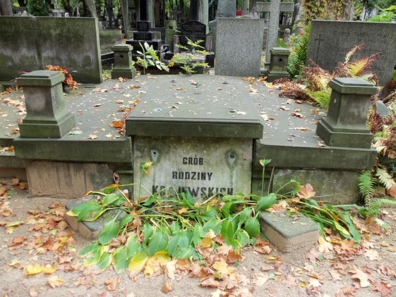 Zdjęcie grobu: Krajewscy