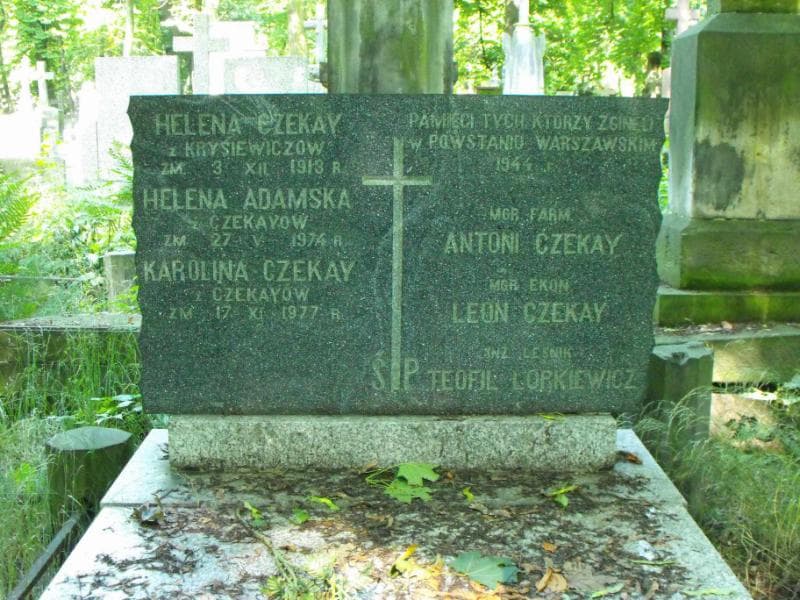 Zdjęcie grobu Karolina Czekay (2)