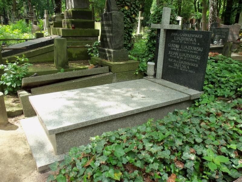 Zdjęcie grobu Julian Ujazdowski (1)
