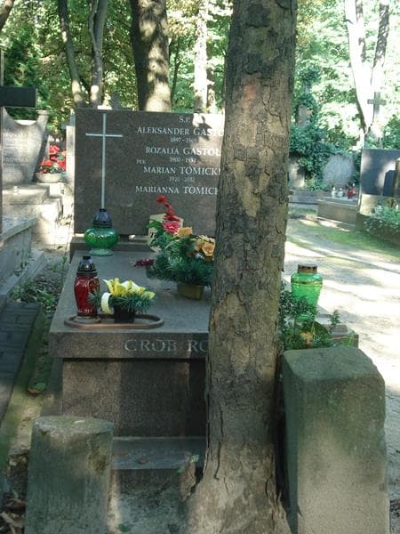 Zdjęcie grobu: Marian Tomicki