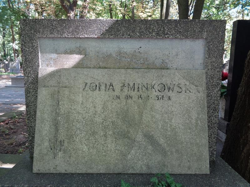 Zdjęcie grobu Zofia Żminkowska (2)