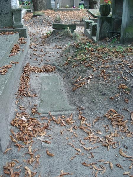 Zdjęcie grobu: Teodozya Hoffman