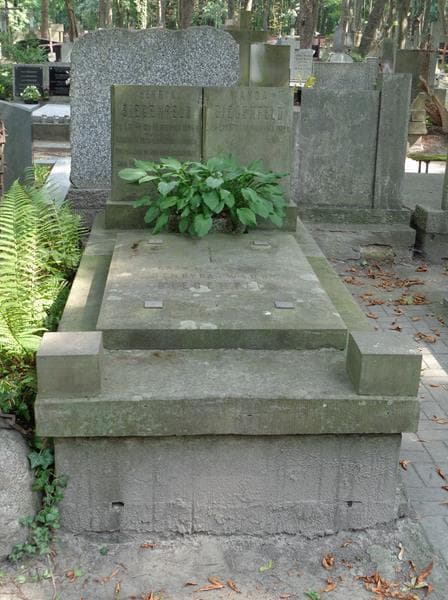 Zdjęcie grobu Henryk Siegenfeld (1)