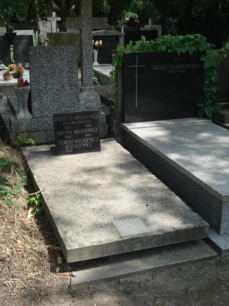 Zdjęcie grobu Tadeusz Mickiewicz (1)