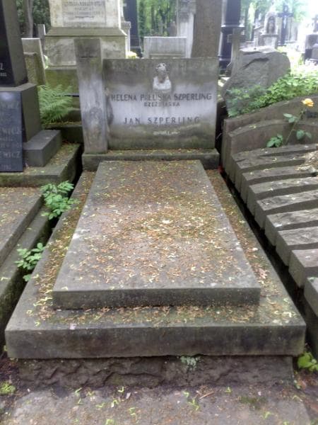 Zdjęcie grobu: Helena Pałuska Szperling