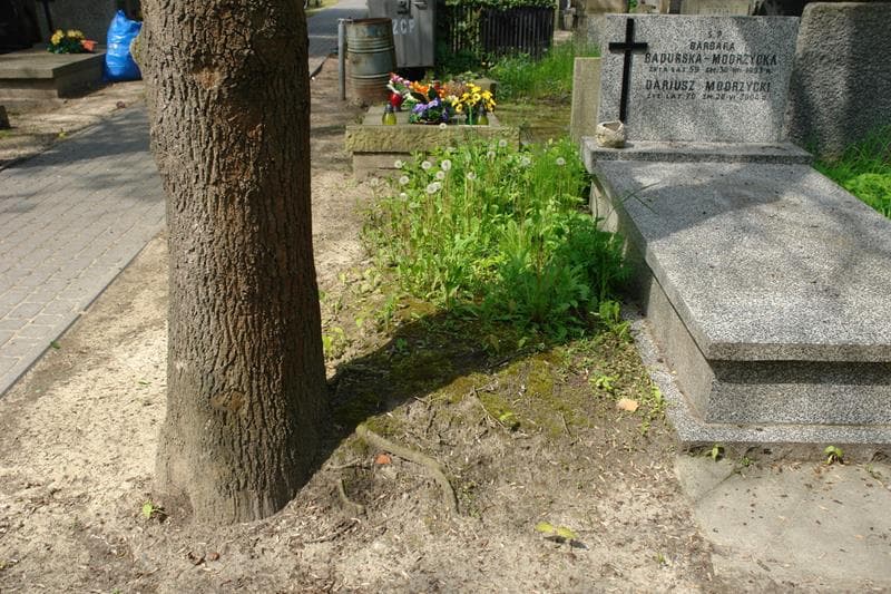 Zdjęcie grobu: Pole Grobowe