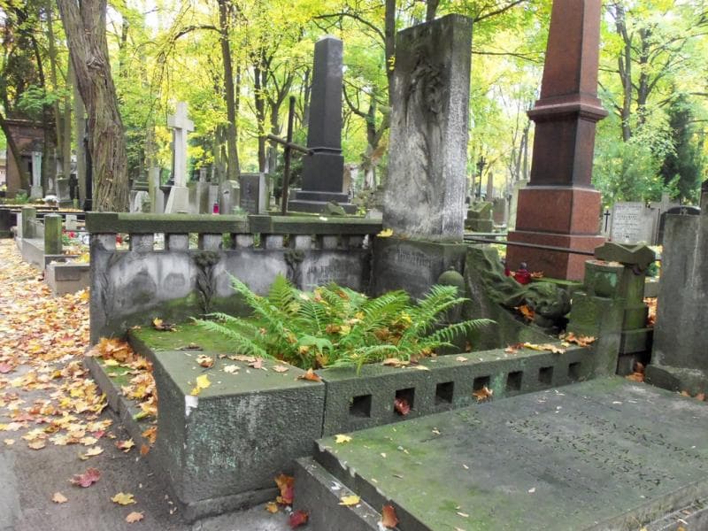 Zdjęcie grobu Anna Borzymowska-Mazurowa (1)
