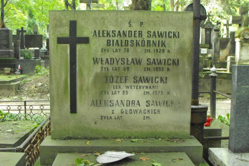 Zdjęcie grobu Władysław Sawicki (2)
