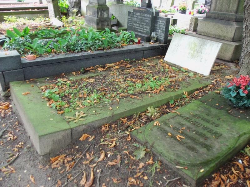 Zdjęcie grobu Stanisława Ruszewska (1)