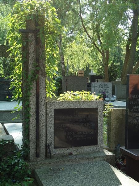 Zdjęcie grobu Edmund Janiszewski (2)