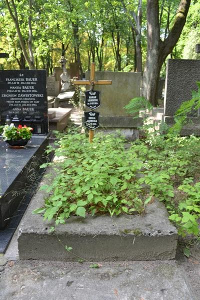Zdjęcie grobu Emilia Lesiecka (1)